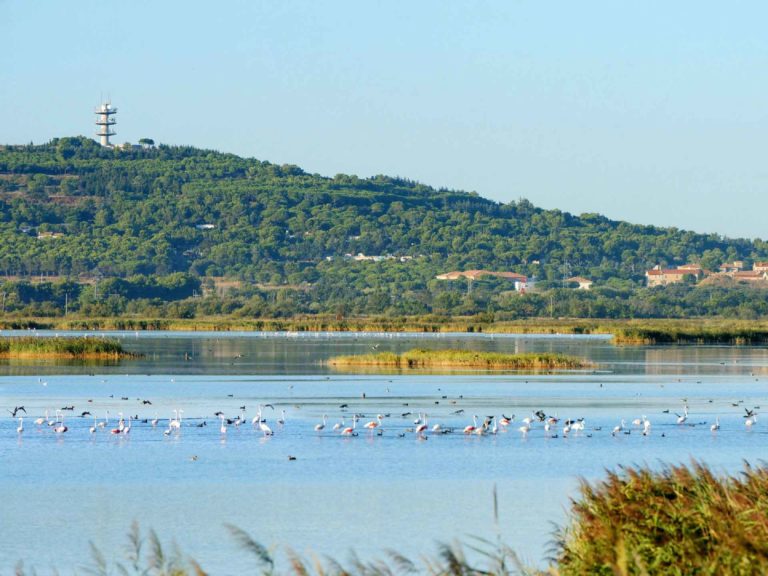 météo Cap d’Agde climat Cap d’Agde été indien