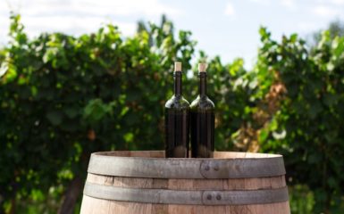 degustation de vin canal du midi agde