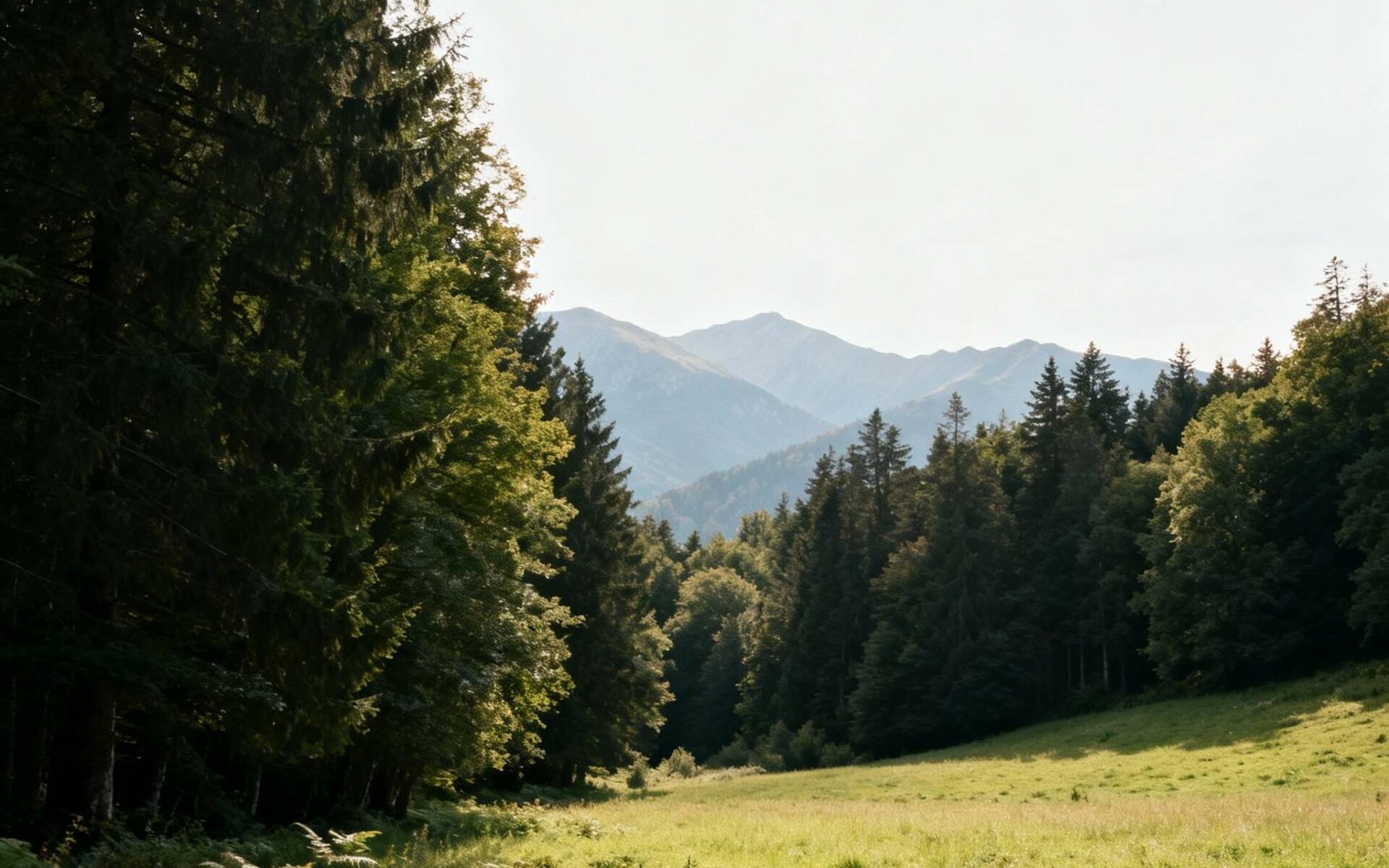 Voyage éco-responsable en France, harmonie entre tourisme et environnement